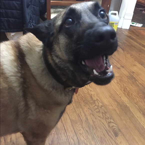 Meet your Posher, Lissa - Picture 5 of 5